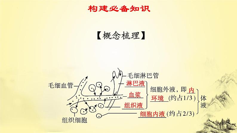 2023届高三一轮复习生物:人体的内环境与稳态课件第3页