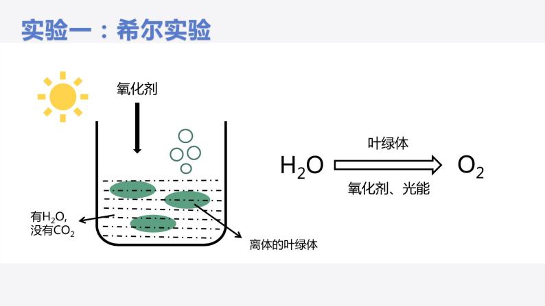 光合作用的原理 课件05