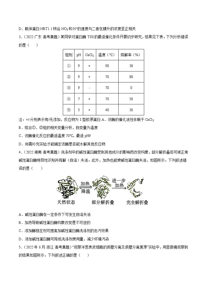 【2020-2022高考真题】最新三年高考生物真题汇编——专题02《细胞的物质运输、酶与ATP》(新高考地区专用)(原卷版)第2页