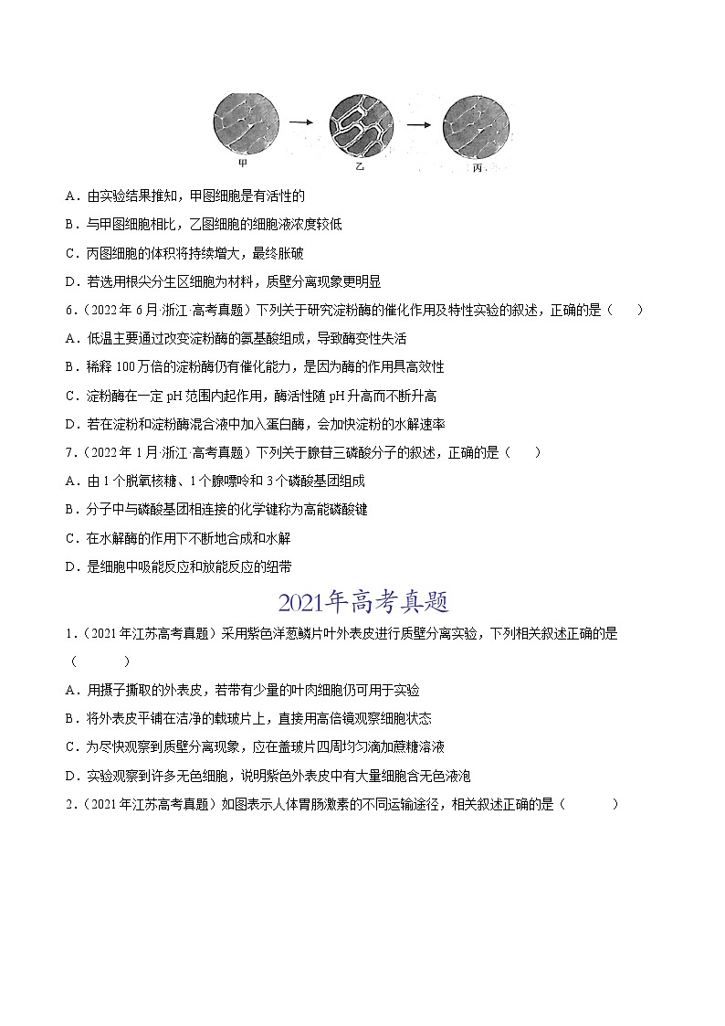 【2020-2022高考真题】最新三年高考生物真题汇编——专题02《细胞的物质运输、酶与ATP》(新高考地区专用)(原卷版)第3页