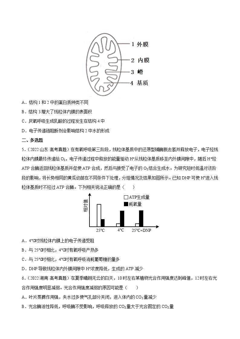 【三年高考真题】最新三年生物高考真题分项汇编——专题03《光合作用和细胞呼吸》（2023新高考地区专用）02