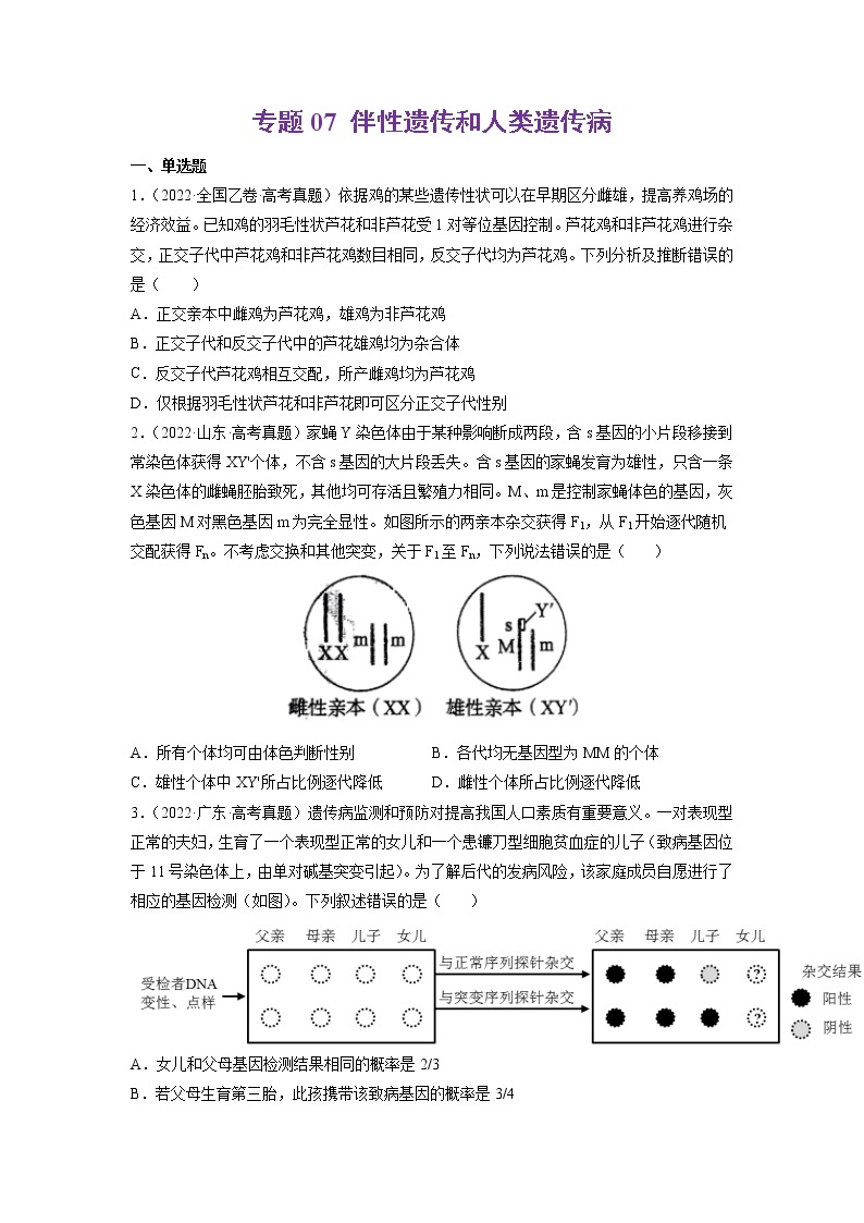 【五年高考真题】最新五年生物高考真题分项汇编——专题07《伴性遗传和人类遗传病》（2023全国卷地区通用）01