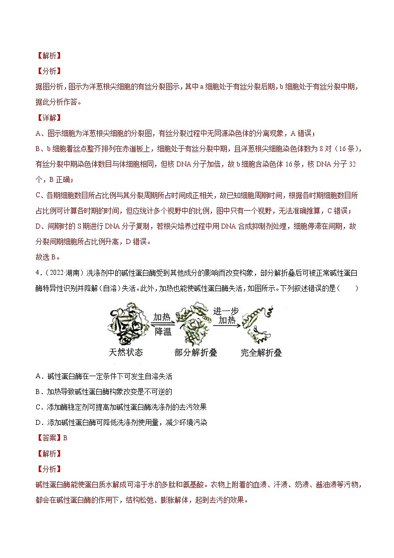 【2018-2022高考真题】高考生物五年真题汇编——专题15《实验与探究》(解析版)(全国卷地区通用)第3页