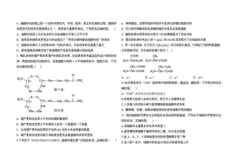 山东省青岛市第五十八中学2022-2023学年高一生物上学期10月月考试题(Word版附答案)第2页