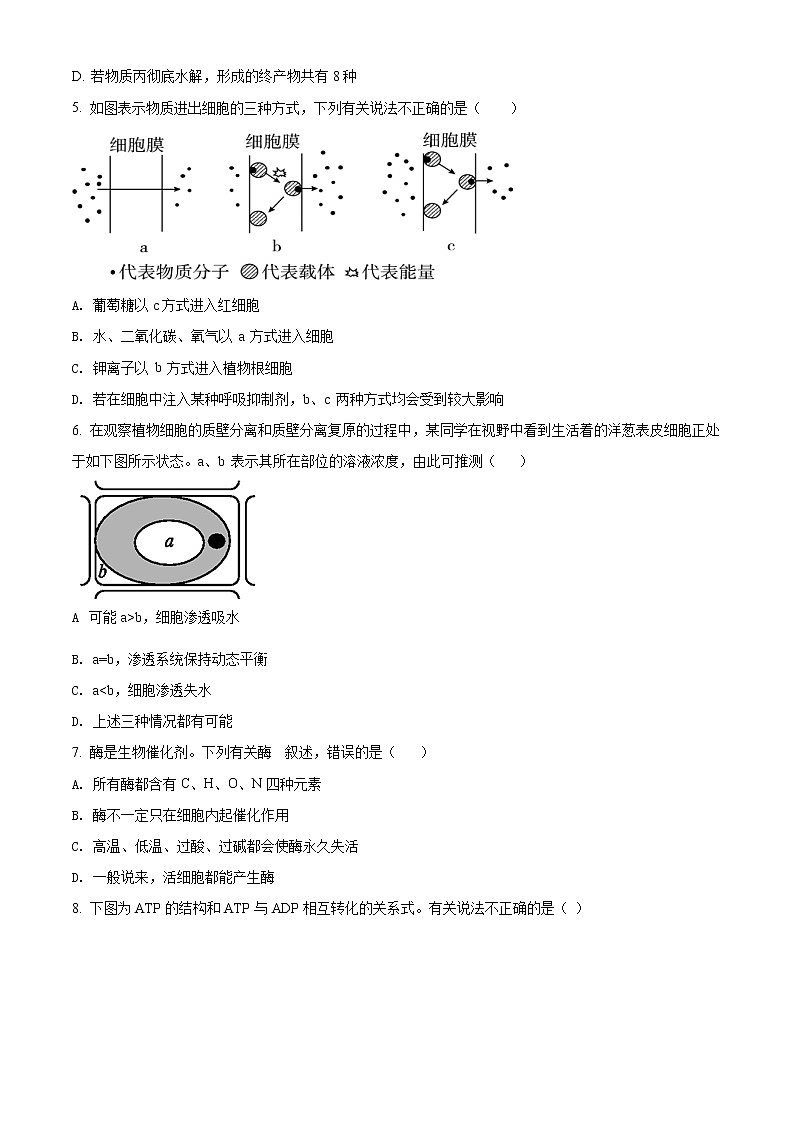 2022阿克苏地区柯坪县柯坪湖州国庆中学高三上学期期中生物试题含解析02