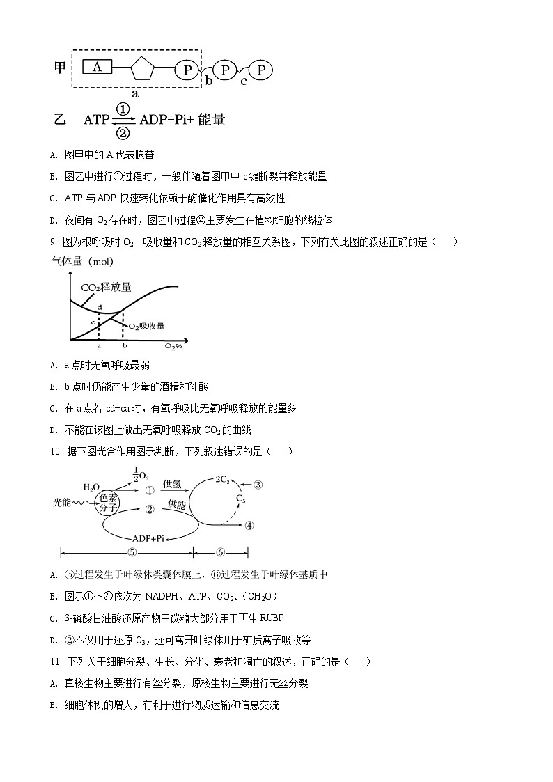 2022阿克苏地区柯坪县柯坪湖州国庆中学高三上学期期中生物试题含解析03