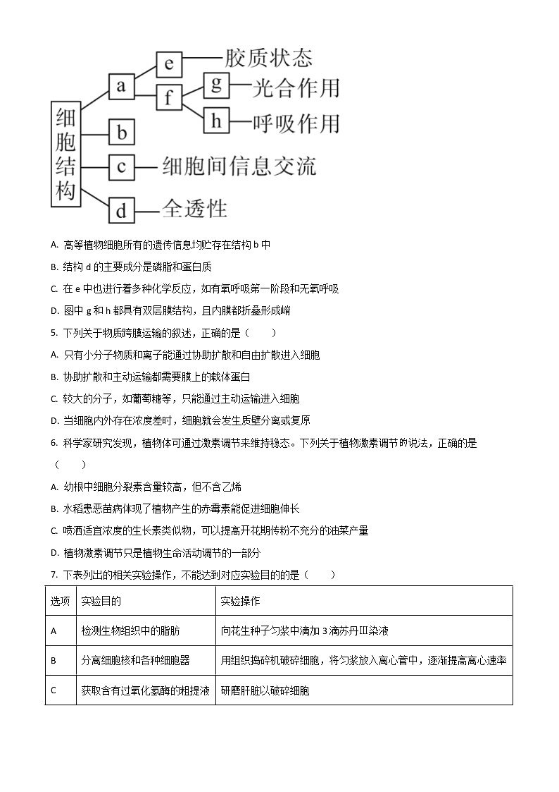 2022喀什六中高三上學(xué)期期中考試生物試題含解析第2頁