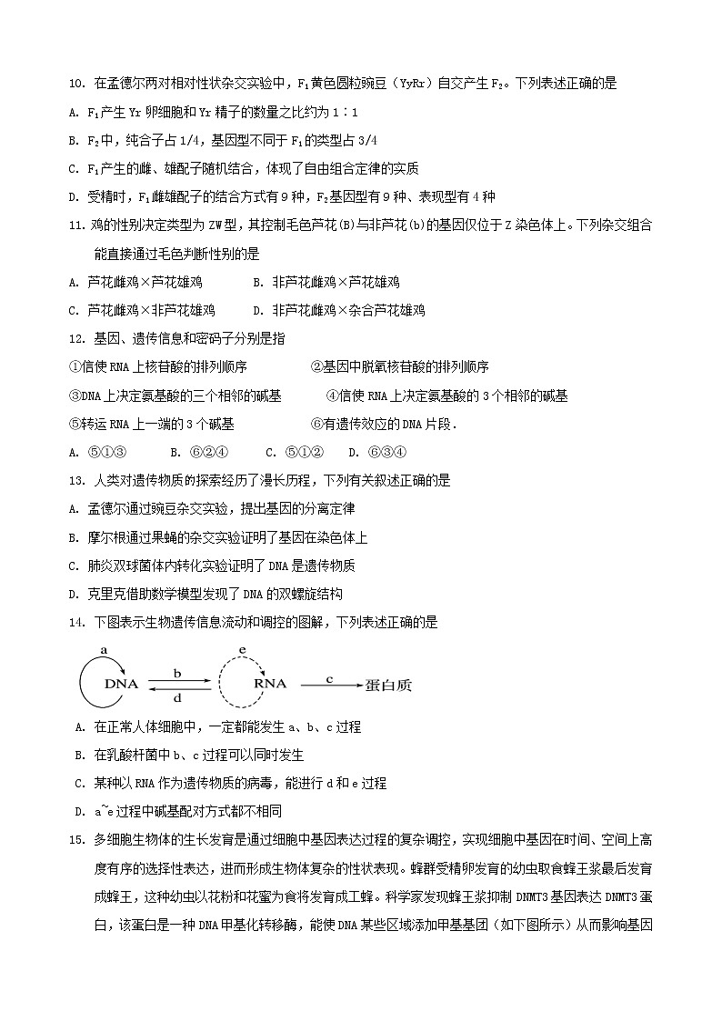 2023玉溪一中高二上学期期中考试生物试题含答案第3页