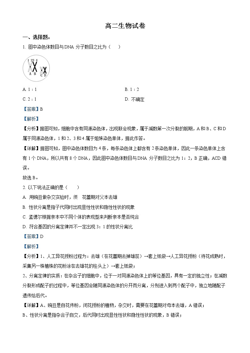 新疆维吾尔自治区喀什地区疏附县第一中学2021-2022学年度高二上学期期中生物试题含解析第1页