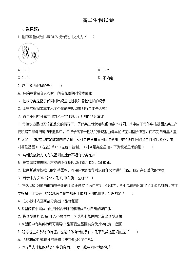 新疆维吾尔自治区喀什地区疏附县第一中学2021-2022学年度高二上学期期中生物试题无答案第1页
