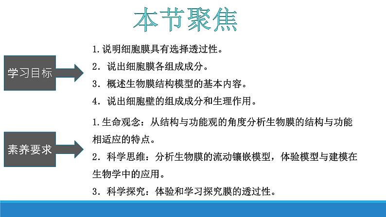 2.2 细胞膜控制细胞与周围环境的联系-【高效备课】2022-2023学年高一生物同步备课优质课件(浙科版2019必修1)第3页