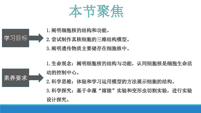 2.4 细胞核是细胞生命活动的控制中心-【高效备课】2022-2023学年高一生物同步备课优质课件(浙科版2019必修1)04
