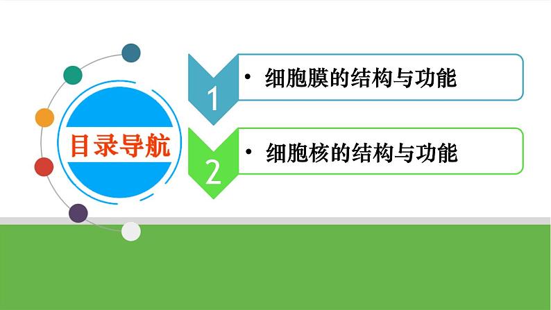 【高考大一轮单元复习】高考生物单元复习课件与检测-第04讲《细胞膜与细胞核》(新教材新高考)04