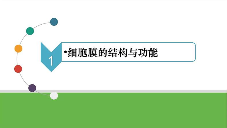 【高考大一轮单元复习】高考生物单元复习课件与检测-第04讲《细胞膜与细胞核》(新教材新高考)06