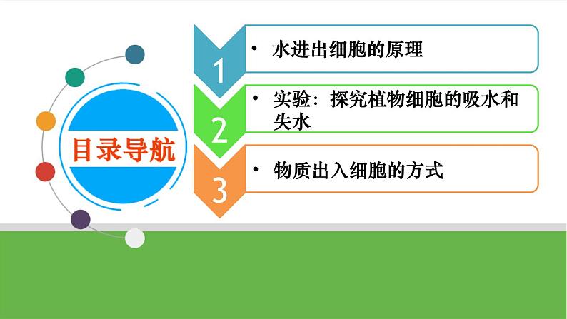 【高考大一轮单元复习】高考生物单元复习课件与检测-第06讲《细胞内物质输入和输出》第4页