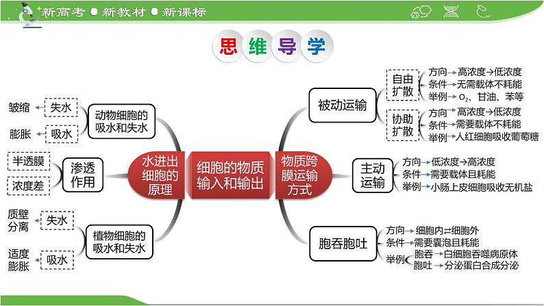 【高考大一轮单元复习】高考生物单元复习课件与检测-第06讲《细胞内物质输入和输出》第5页
