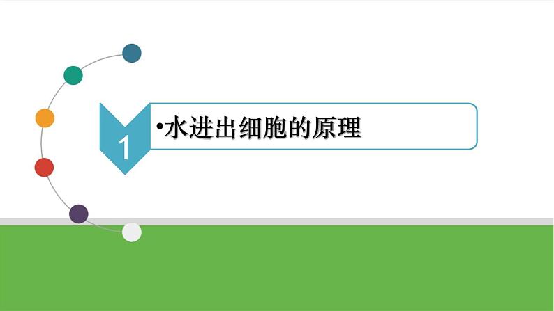 【高考大一轮单元复习】高考生物单元复习课件与检测-第06讲《细胞内物质输入和输出》第6页