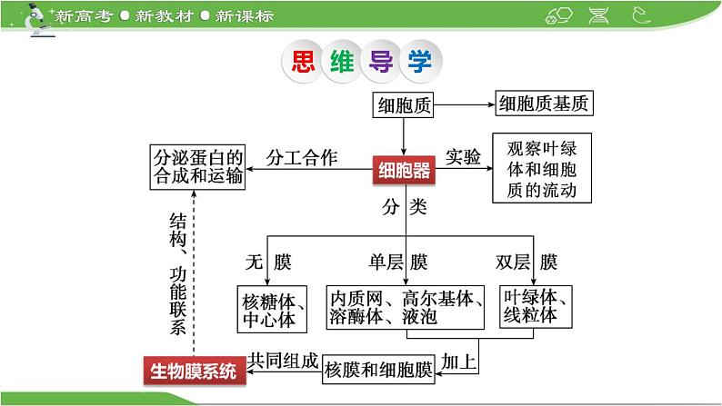 【高考大一轮单元复习】高考生物单元复习课件与检测-第05讲《细胞器之间的分工合作》第5页