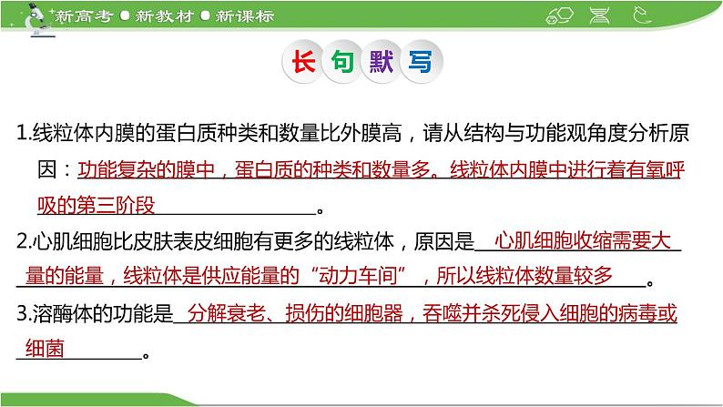 【高考大一轮单元复习】高考生物单元复习课件与检测-第05讲《细胞器之间的分工合作》第8页