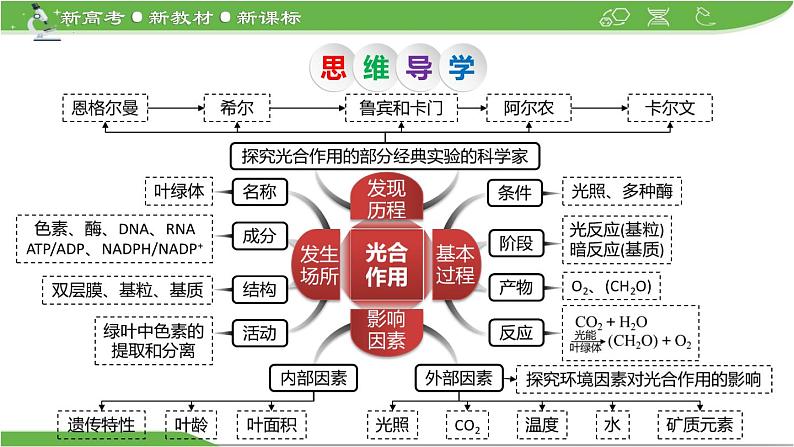【高考大一轮单元复习】高考生物单元复习课件与检测-第09讲《光合作用与能量转化》第5页