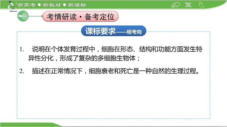 【高考大一轮单元复习】高考生物单元复习课件与检测-第12讲《细胞的分化、衰老和死亡》(新教材新高考)02