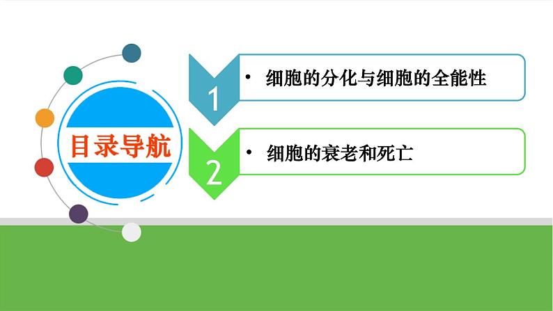 【高考大一轮单元复习】高考生物单元复习课件与检测-第12讲《细胞的分化、衰老和死亡》(新教材新高考)04