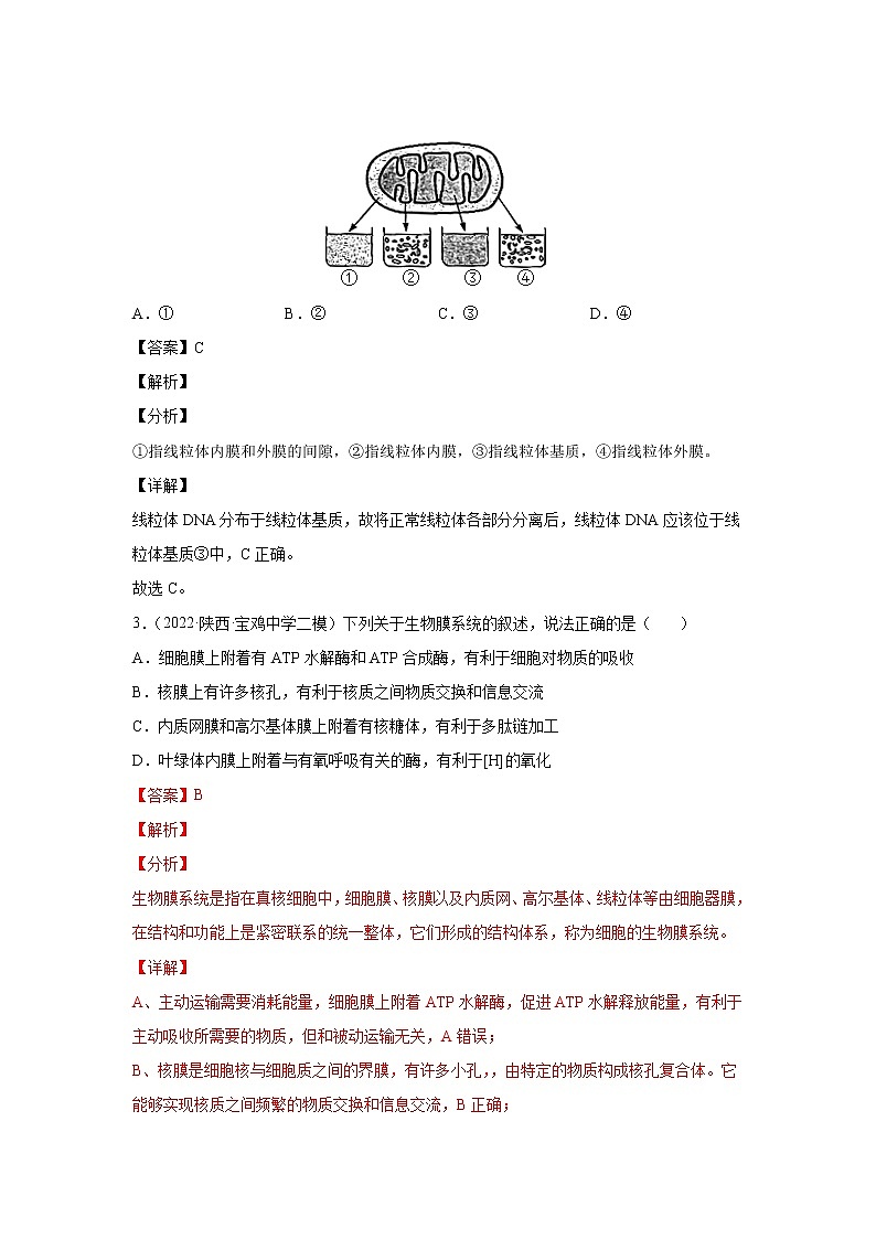 【高考大一轮单元复习】高考生物单元复习课件与检测-第二单元《细胞的基本结构与物质运输》(测试卷)(新教材新高考)(解析版)第2页