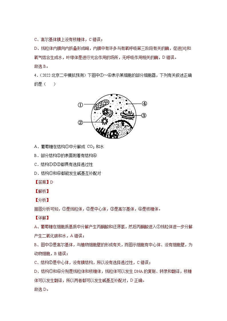 【高考大一轮单元复习】高考生物单元复习课件与检测-第二单元《细胞的基本结构与物质运输》(测试卷)(新教材新高考)(解析版)第3页