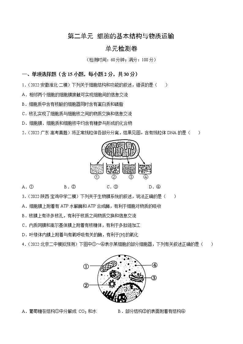 【高考大一轮单元复习】高考生物单元复习课件与检测-第二单元《细胞的基本结构与物质运输》(测试卷)(新教材新高考)(原卷版)第1页