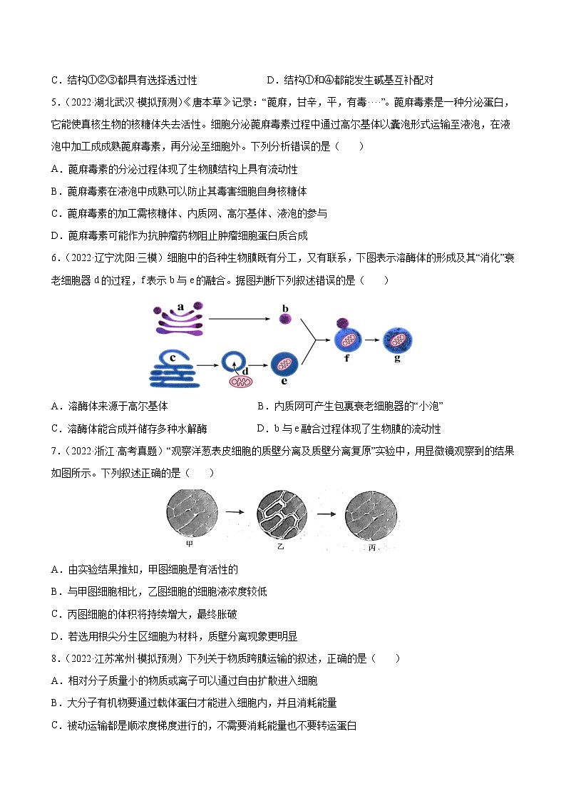 【高考大一轮单元复习】高考生物单元复习课件与检测-第二单元《细胞的基本结构与物质运输》(测试卷)(新教材新高考)(原卷版)第2页
