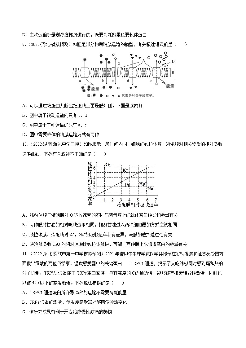 【高考大一轮单元复习】高考生物单元复习课件与检测-第二单元《细胞的基本结构与物质运输》(测试卷)(新教材新高考)(原卷版)第3页