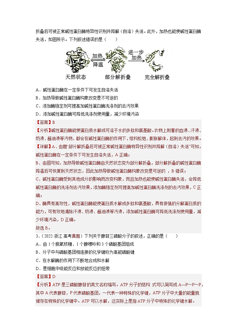 【高考大一轮单元复习】高考生物单元复习课件与检测-第三单元《细胞的能量供应和利用》(测试卷02)(新教材新高考)(解析版)第2页