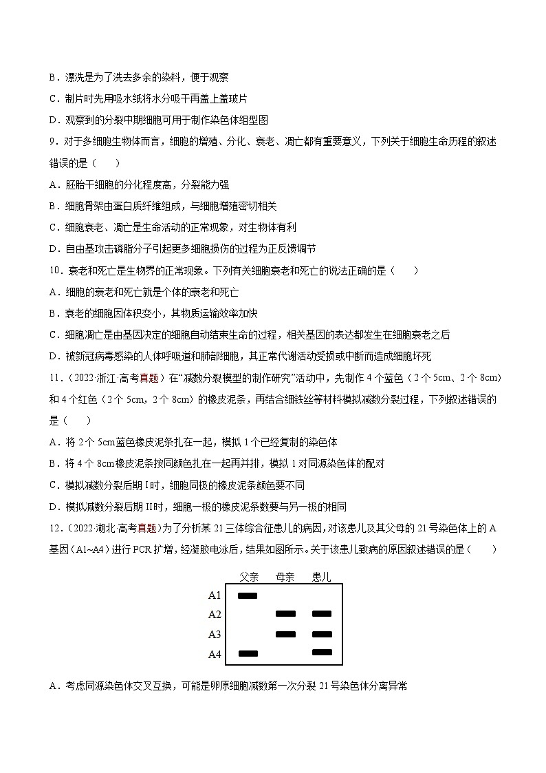 【高考大一轮单元复习】高考生物单元复习课件与检测-第四单元《细胞的生命历程》(测试卷)(新教材新高考)(原卷版)第3页