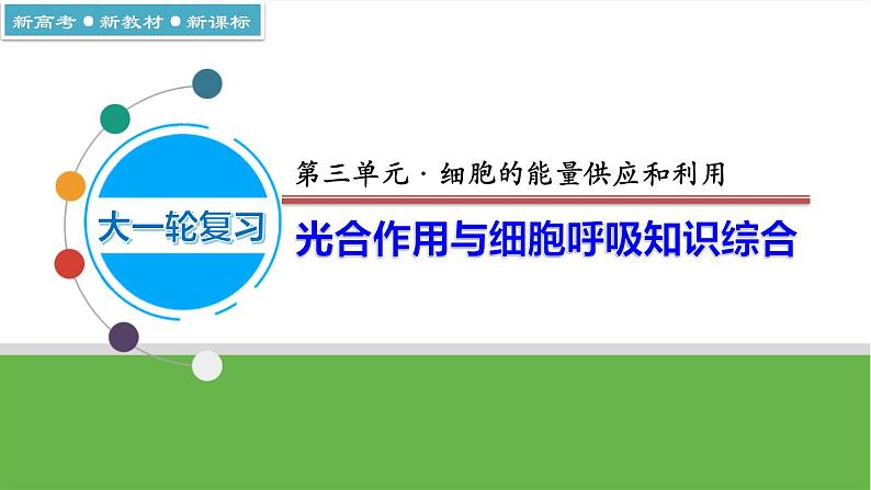 【高考大一轮单元复习】高考生物单元复习课件与检测-微专题01《光合作用与细胞呼吸知识综合》(新教材新高考)第1页