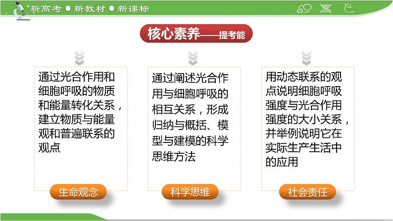 【高考大一轮单元复习】高考生物单元复习课件与检测-微专题01《光合作用与细胞呼吸知识综合》(新教材新高考)第3页