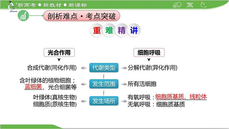 【高考大一轮单元复习】高考生物单元复习课件与检测-微专题01《光合作用与细胞呼吸知识综合》(新教材新高考)第7页