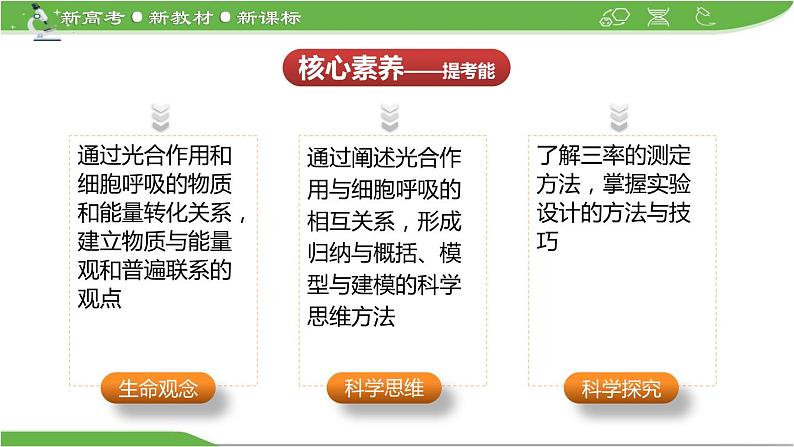 【高考大一轮单元复习】高考生物单元复习课件与检测-微专题02《光合作用与细胞呼吸三率的分析与测定》(新教材新高考)第4页