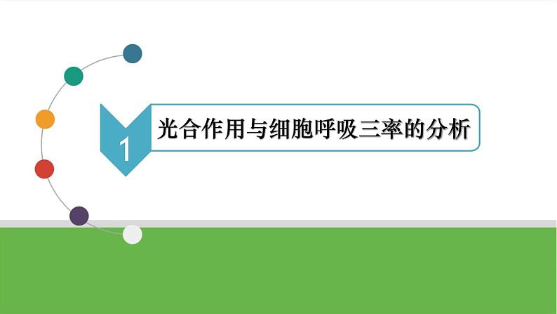 【高考大一轮单元复习】高考生物单元复习课件与检测-微专题02《光合作用与细胞呼吸三率的分析与测定》(新教材新高考)第5页