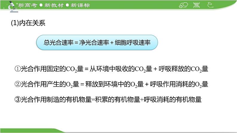 【高考大一轮单元复习】高考生物单元复习课件与检测-微专题02《光合作用与细胞呼吸三率的分析与测定》(新教材新高考)第7页