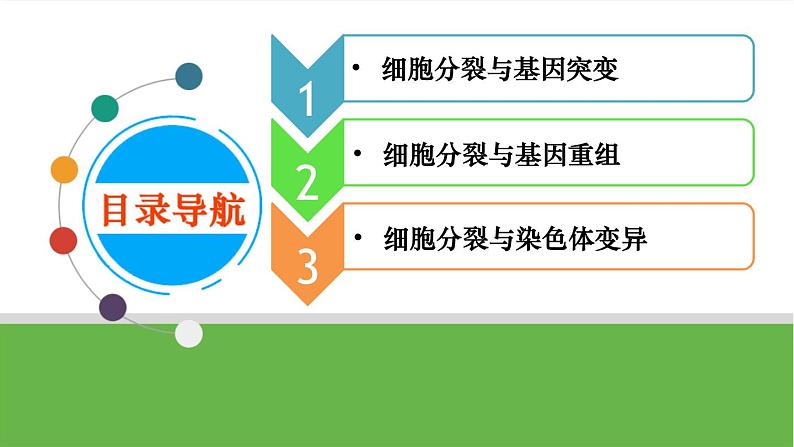 【高考大一轮单元复习】高考生物单元复习课件与检测-微专题04《细胞分裂与可遗传变异的关系》(新教材新高考)第2页