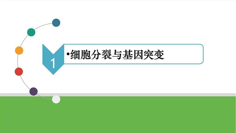 【高考大一轮单元复习】高考生物单元复习课件与检测-微专题04《细胞分裂与可遗传变异的关系》(新教材新高考)第3页