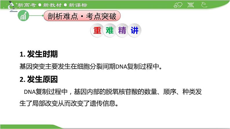 【高考大一轮单元复习】高考生物单元复习课件与检测-微专题04《细胞分裂与可遗传变异的关系》(新教材新高考)第4页