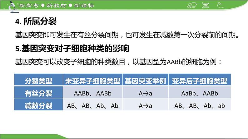 【高考大一轮单元复习】高考生物单元复习课件与检测-微专题04《细胞分裂与可遗传变异的关系》(新教材新高考)第6页