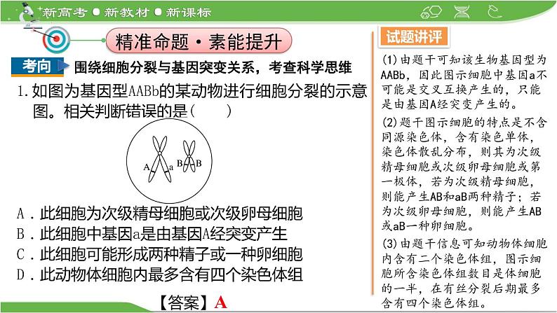 【高考大一轮单元复习】高考生物单元复习课件与检测-微专题04《细胞分裂与可遗传变异的关系》(新教材新高考)第7页
