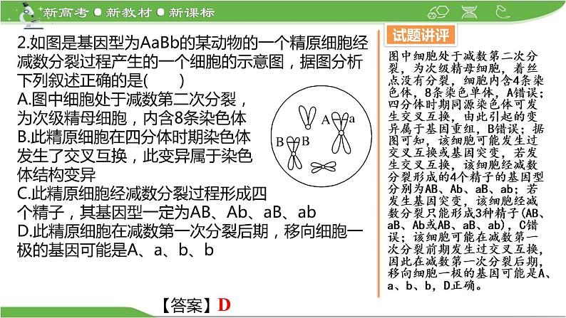 【高考大一轮单元复习】高考生物单元复习课件与检测-微专题04《细胞分裂与可遗传变异的关系》(新教材新高考)第8页