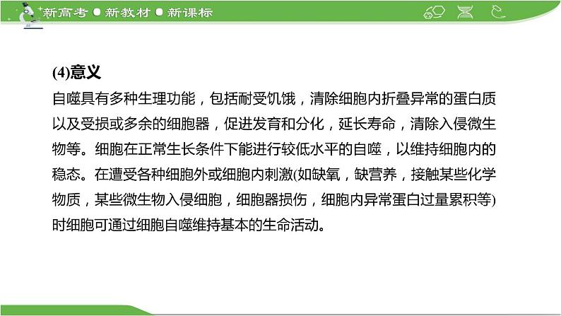 【高考大一轮单元复习】高考生物单元复习课件与检测-微专题05《细胞自噬与细胞凋亡》(新教材新高考)第7页