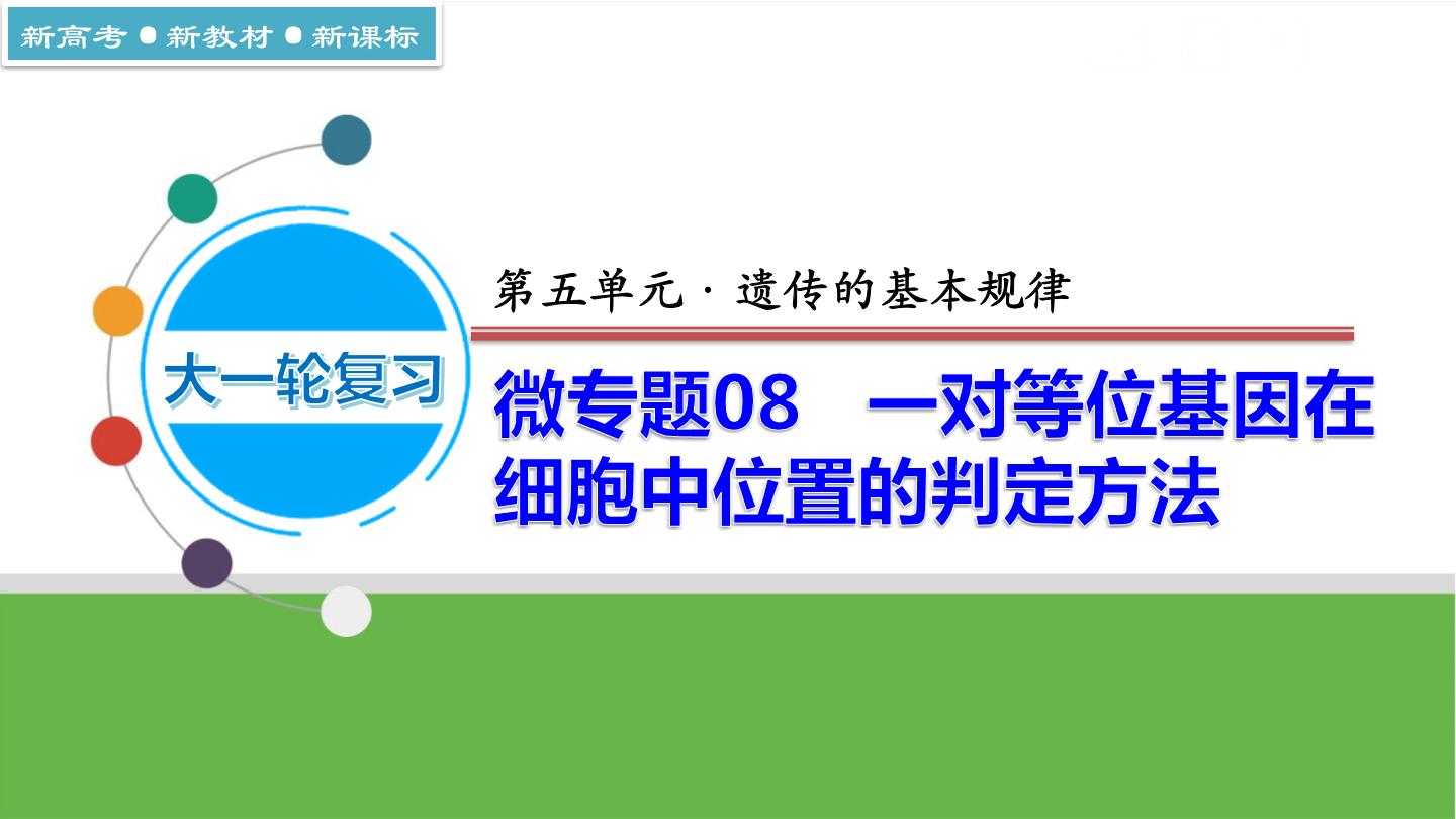 【高考大一轮单元复习】高考生物单元复习课件与检测-微专题08《一对等位基因在细胞中位置的判定方法》（新教材新高考）