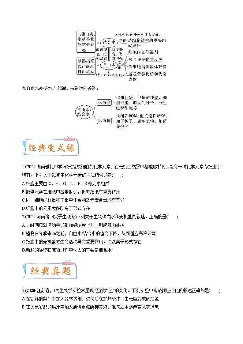 【高考考点专题复习】高考生物考点专题复习——考向01《组成细胞的分子》全能卷(全国通用)(原卷版)第3页