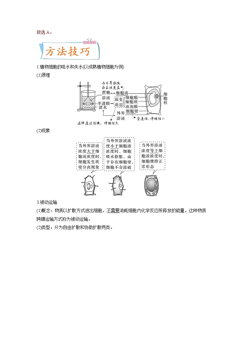 【高考考点专题复习】高考生物考点专题复习——考向03《细胞内物质输入和输出》全能卷(全国通用)(解析版)第2页
