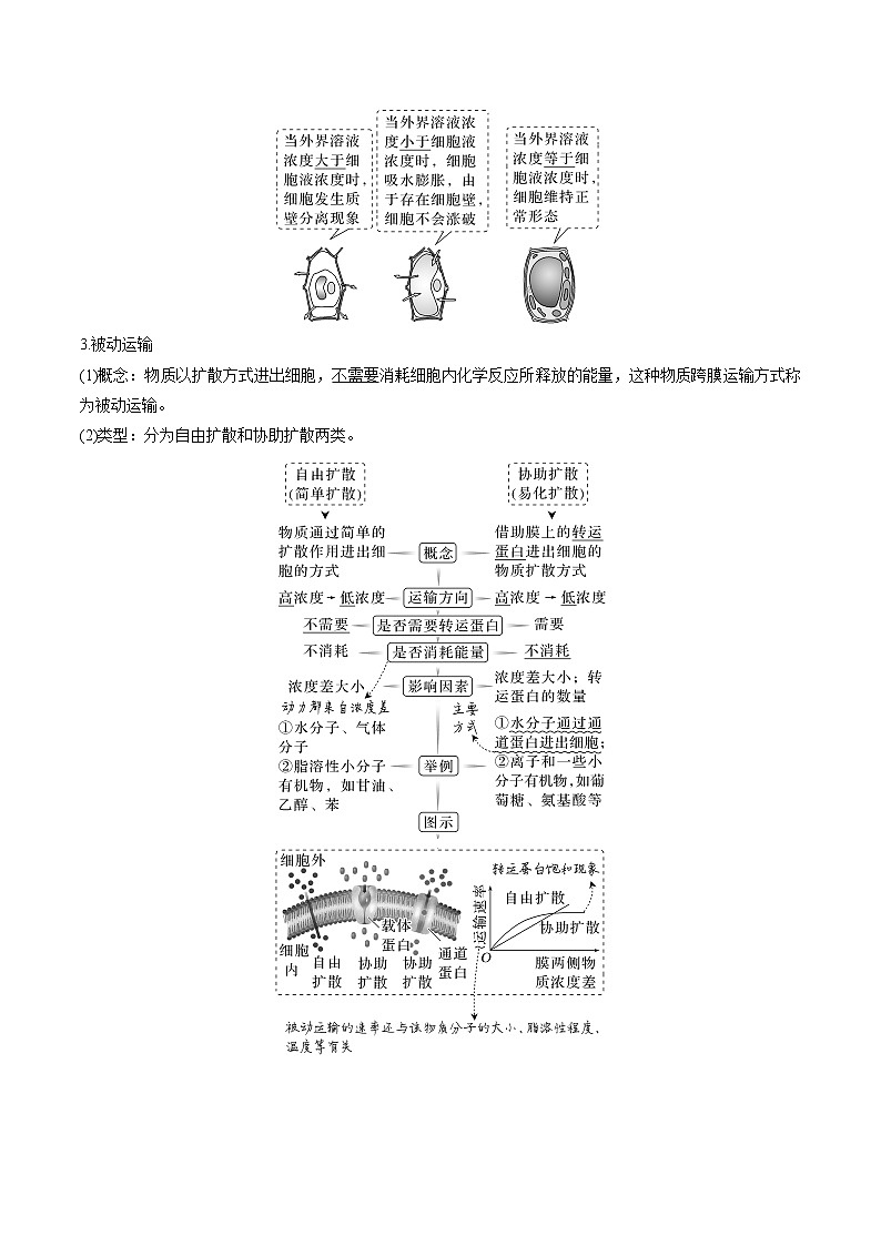 【高考考点专题复习】高考生物考点专题复习——考向03《细胞内物质输入和输出》全能卷(全国通用)(原卷版)第2页